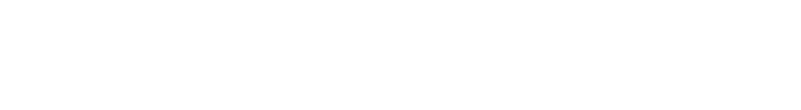 Stellar 305 logo